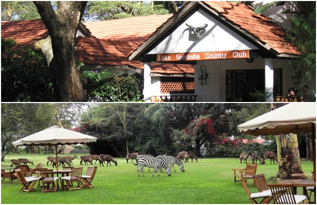 link Lake Naivasha uliza